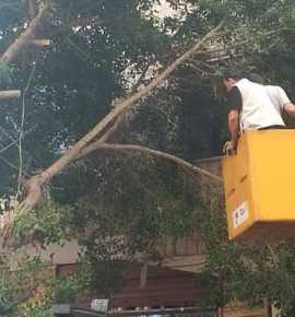 أقسام بلدية المريجة: أعمال صيانة متواصلة لبيئة آمنة ونظيفة