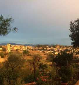 بلدية النميرية .. تحويل كل فرصة وكل مورد إلى خدمة مباشرة للمواطنين