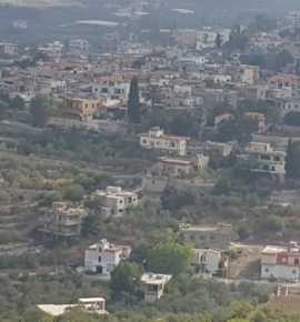 التاريخ الاجتماعي للأرياف: بلدة عبّا نموذجًا