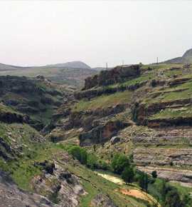 بلدة قليا: بين العمل البلدي والروح الجماعية