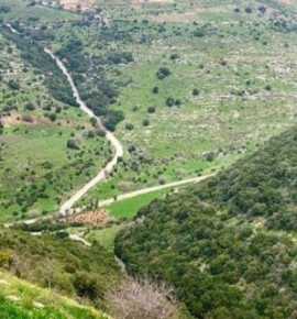 إعادة تأهيل المحميات المتضررة بسبب العدوان: بين حجم الكارثة ودور البلديات في المواجهة