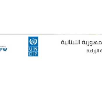 وزارة الزراعة تطلق مشروع إنتاج وتوزيع 1.5 مليون شتلة خضار بالتنسيق مع البلديات واتحاداتها