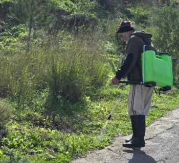 بلدية طيرفلسيه تُعزز المساحات الخضراء ضمن خطتها البيئية المستدامة