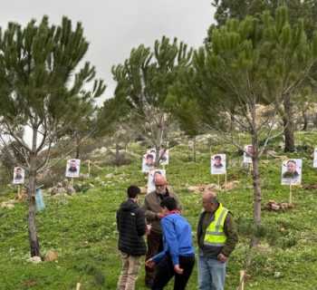 بلدية قبريخا تُطلق حملة تشجير لتأسيس 