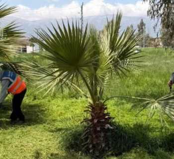  بلدية غزة تؤهّل الحديقة العامة استعدادًا لموسم الصيف