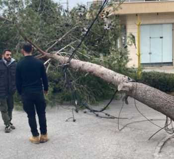 بلدية قانا تباشر بمعالجة تداعيات العاصفة الاخيرة بالتعاون مع شركة كهرباء لبنان