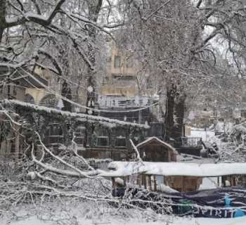بلدية زغرتا -اهدن تباشر بجمع الاغصان اليابسة التي سقطت نتيجة العاصفة الثلجية