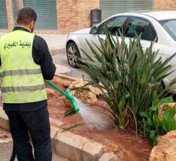 بلدية الغبيري تواصل أعمال التشجير والعناية بالمساحات الخضراء