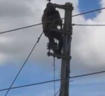 بلديّة جبشيت تعيد التيار  الكهربائي إلى معظم الأحياء بعد أضرار الشبكة 