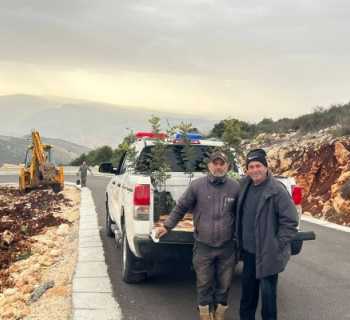 بلدية سجد تستكمل المرحلة الثانية من أعمال تشجير شتلات الخروب