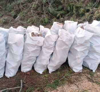 بلدية مزبود تُجهّز حصصًا من الحطب للتدفئة للعائلات المتعفّفة