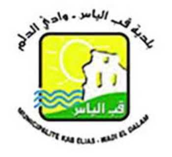 جولة رقابية في سوق خضار قب الياس لضبط الأسعار ومنع الاحتكار