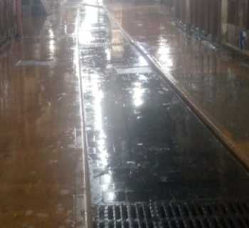 حملة النظافة والشطف الليلية في أسواق طرابلس مستمرة