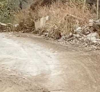 بلدية طيردبا تنفّذ حملة تنظيف في عدد من أحياء البلدة