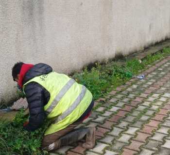 بلدية الغبيري: استمرار الأعمال البيئية وتأمين الخدمات رغم الظروف الراهنة