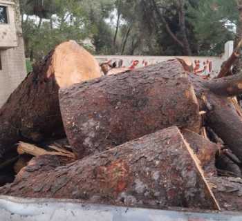 بلدية النبطية تواصل تعزيز السلامة العامة في ظل العاصفة الأخيرة