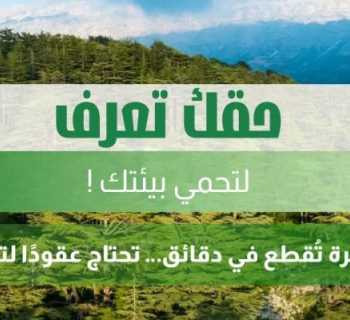 وزارة البيئة تدعو إلى التشدد في مراقبة قطع الأشجار وملاحقة المخالفين مع اقتراب الشتاء