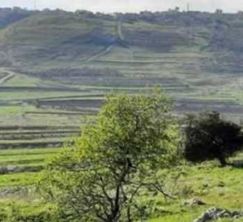 بلدية مارون الراس تدعو النازحين والعائدين إلى إعادة التسجيل عبر منصة اتحاد بلديات صور