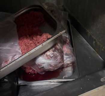 المفرزة الصحية في بلدية برج البراجنة تواصل جولاتها الميدانية