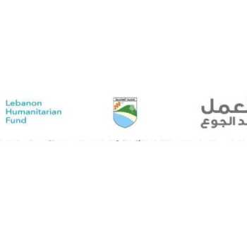 بلدية العباسية تنفّذ نشاطًا توعويًا حول تغذية الأم والطفل والرضاعة الطبيعية