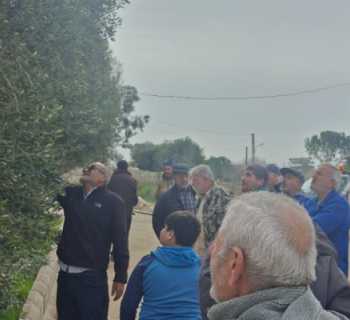 اتحاد بلديات جبل عامل ينظّم ندوة زراعية حول تقليم الزيتون في بلدية طلوسة