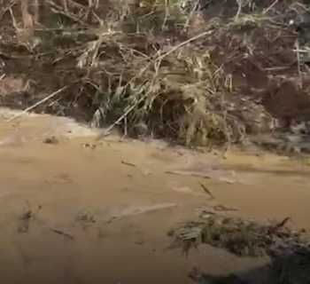 المصلحة الوطنية لنهر الليطاني تطلق أشغال تنظيف مجرى النهر من سدّ الزرارية باتجاه منطقة القاسمية