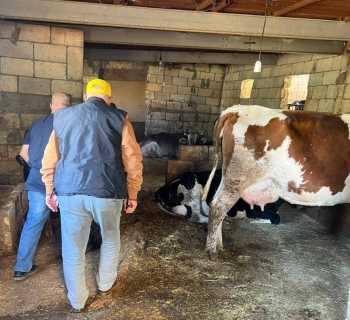 اتحاد بلديات جبل عامل ينظم زيارة ميدانية لطبيب بيطري في بعض بلداته