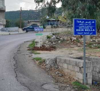 بلدية ديربلا تشجّر جوانب الطرقات في خمسة أحياء بزرع 400 نصبة صنوبر