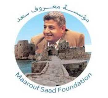 مؤسسة معروف سعد تدير 10 مراكز لاستقبال النازحين في صيدا