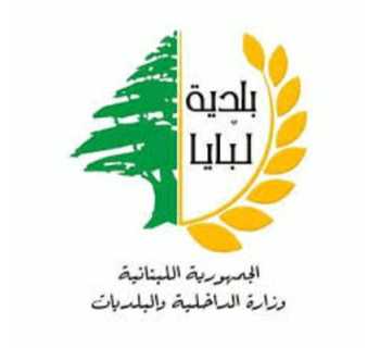 بلدية لبايا تُنجز تركيب 30 لمبة إنارة تعمل على الطاقة الشمسية