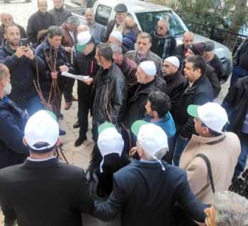 برعاية وزير الزراعة… دورة في بعذران حول زراعة الفستق الحلبي