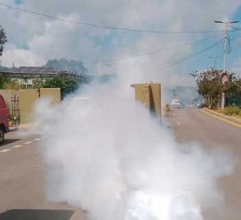 تكثيف أعمال التنظيف ورش المبيدات في الغبيري