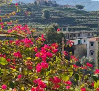 رئيس بلديّة عيات يهنّئ بعيد الفطر ويأمل بانفراج الأزمات وعودة الاستقرار