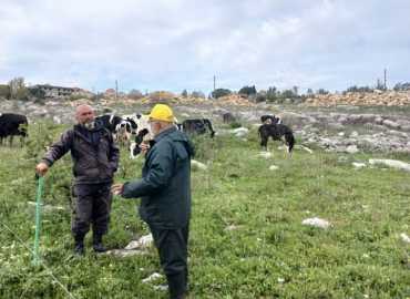 بالصور: مركز الخدمات الزراعية والتنموية التابع لاتحاد بلديات قضاء بنت جبيل يتابع المزارعين ومربي الماشية