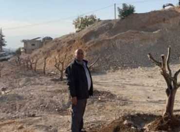 بلدية كفرزبد تزرع 30 شجرة زيتون معمّرة على امتداد الطريق العام