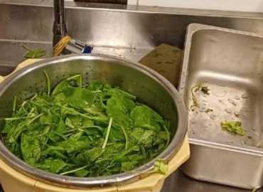 قسم سلامة الغذاء والرقابة الصحية في بلدية الغبيري يتابع جولاته الميدانية