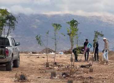 بمبادرة من بلدية لبايا .. زراعة 150 غرسة شجر في اماكن مختلفة