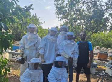 بلدية العباسية تنفّذ مشروعًا تعليميًا حول تربية النحل