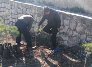 بلدية مركبا تُنجز تأهيل وزراعة الحديقة العامة بالتعاون مع اتحاد بلديات جبل عامل