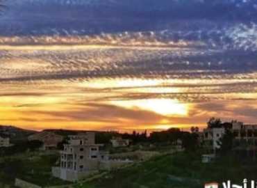 بلدية حاريص: تحويل المساعدات للمسجلين على منصة وزارة الشؤون يتم تباعًا