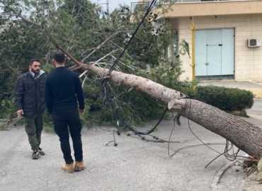 بلدية قانا تباشر بمعالجة تداعيات العاصفة الاخيرة بالتعاون مع شركة كهرباء لبنان