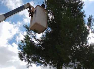 بلدية راشيا الوادي تشحّل أغصان الأشجار القريبة من خطوط الكهرباء