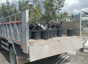 بلدية عين المير تتسلّم هبة زراعية: تشجير مرتقب بـ150 شجرة خروب