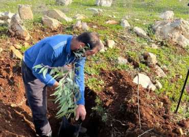 بلدية مجدل سلم تواصل تعزيز الغطاء الأخضر: زراعة 200 شجرة على طرقات عامة