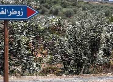 بلدية زوطر الغربية تثمن جهود اتحاد بلديات الشقيف النبطية في تأهيل البئر الارتوازي