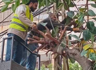 بلدية حارة حريك تواصل أعمال صيانة الصرف الصحي وتشجير الشوارع