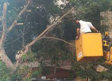 أقسام بلدية المريجة: أعمال صيانة متواصلة لبيئة آمنة ونظيفة