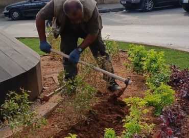 بلدية الغبيري تُنهي أعمال إزالة عدد من الأشجار في منطقتيْ الجناح والطيونة