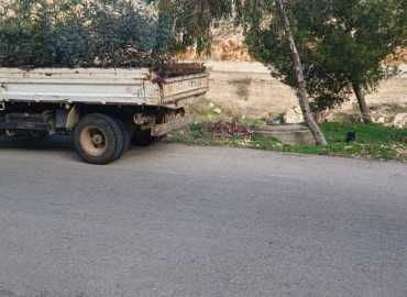 بلدية كفرفيلا تطلق حملة تشجير لتحسين المشهد العام وتعزيز المساحات الخضراء