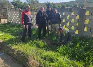 بلدية دبعال تُنجز أعمال زراعة الأشجار لتجميل البلدة